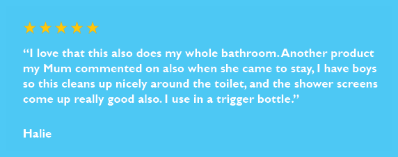 bathroom and toilet cleaner review